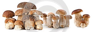 Mushroom, food, isolated, white, fresh, vegetable, healthy,Pilz, Lebensmittel, isoliert, weiÃÅ¸, frisch, GemÃÂ¼se, gesund, photo